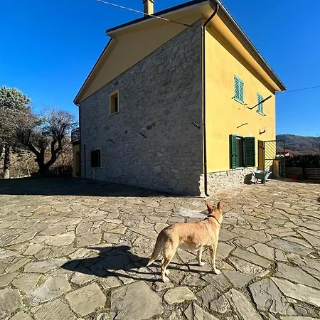Il Gelso