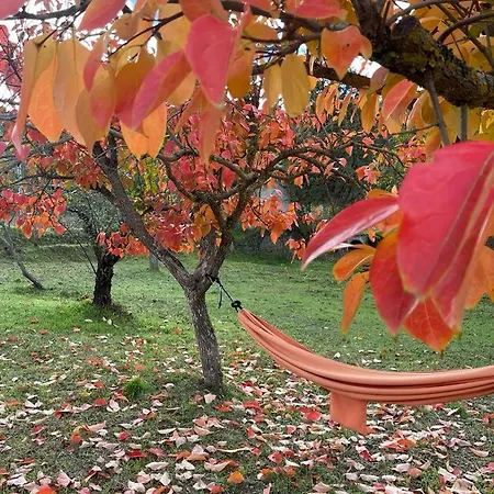 Gospodarstwo wiejskie Il Gelso *