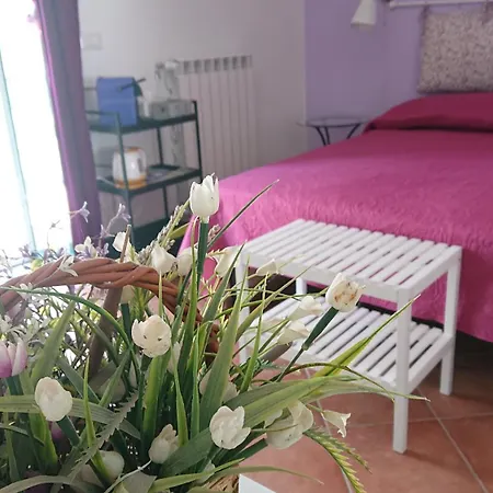 Casa di campagna Il Gelso *