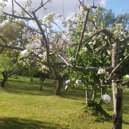 Il Gelso Casa di campagna Trivigno