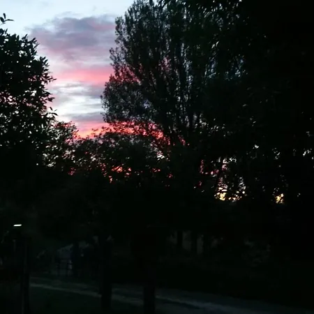 Il Gelso * Trivigno