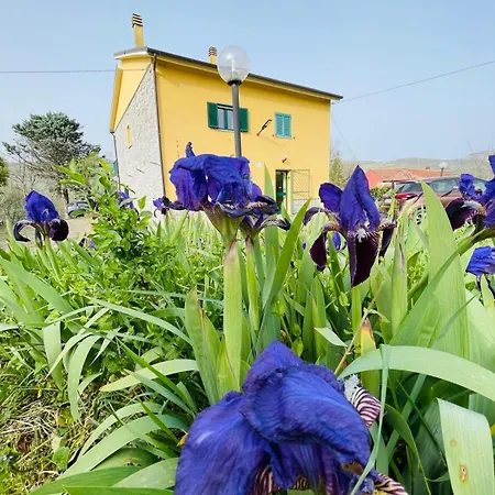 Casa di campagna Il Gelso Trivigno