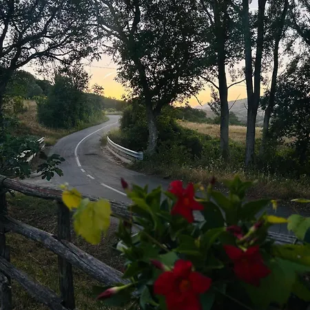 Gospodarstwo wiejskie Il Gelso Trivigno