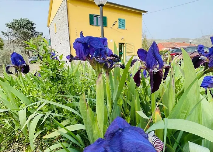 Venkovský dům Il Gelso Trivigno